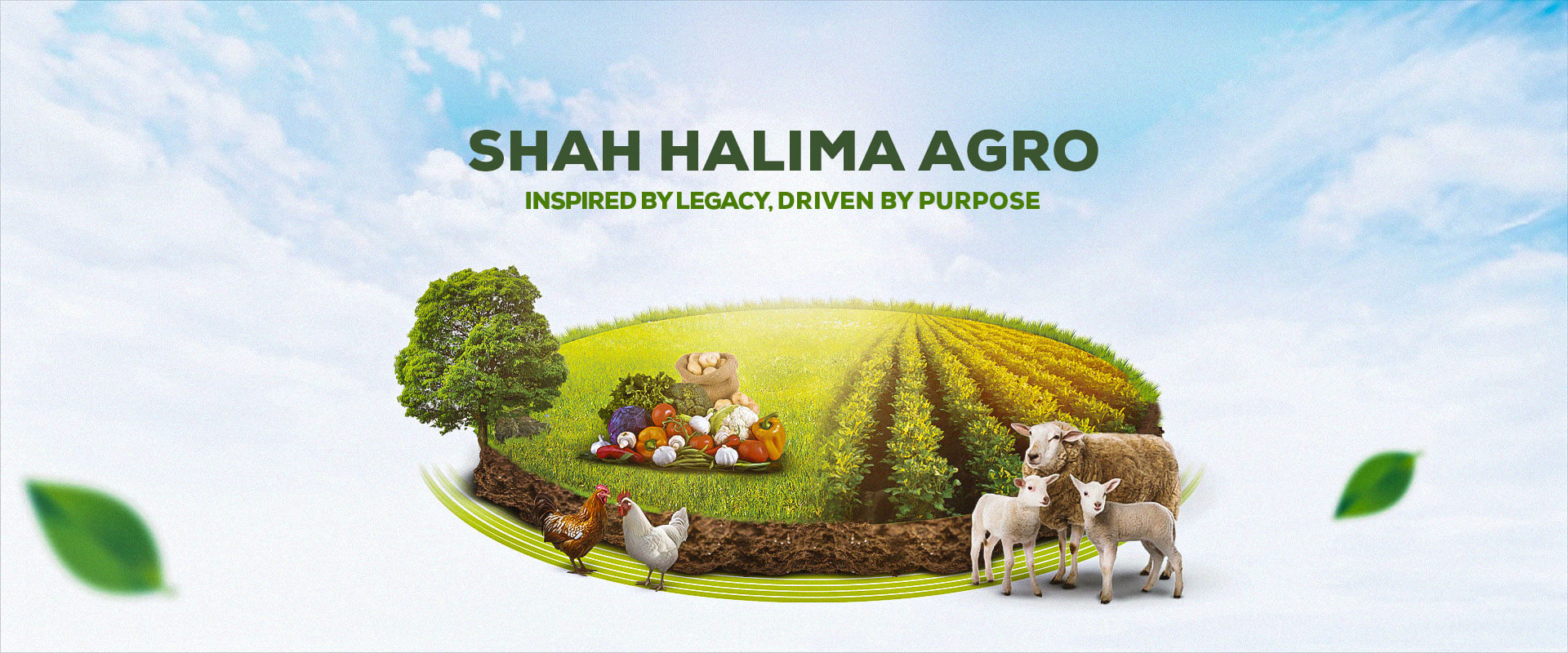 Shah-Rubber-Garden-n1